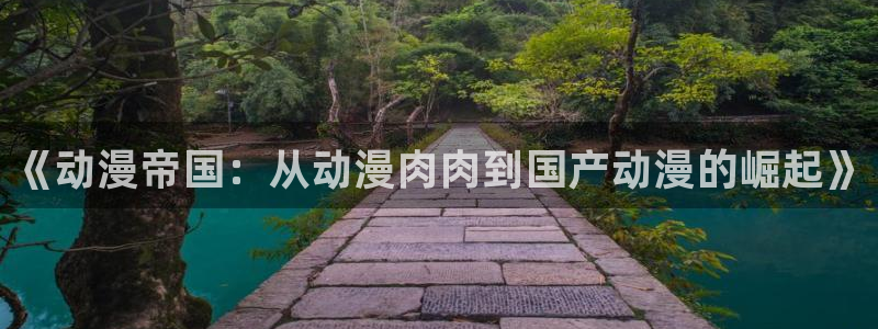 managereader漫画官网入口：《动漫帝国：从动漫肉肉到国产动漫的崛起》