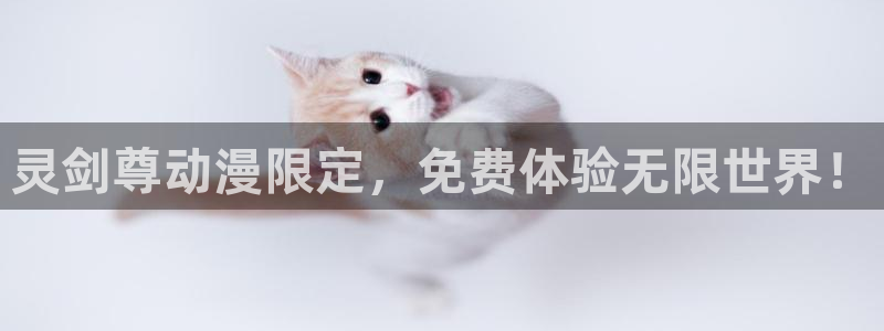 age动漫官网在线入口：灵剑尊动漫限定，免费体验无限世界！