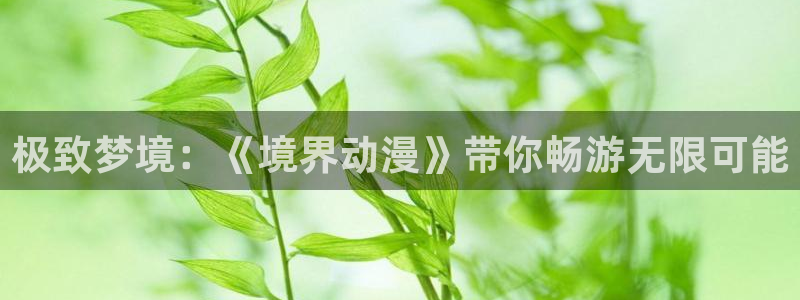 age动漫下载网：极致梦境：《境界动漫》带你畅游无限可能
