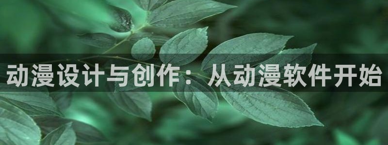 age动漫樱花：动漫设计与创作：从动漫软件开始