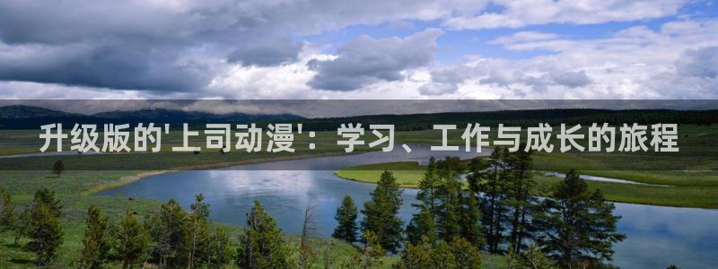 拷贝漫画 copymanager.ory网站：升级版的\'上司动漫\'：学习、工作与成长的旅程
