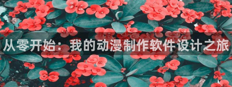 在线动画动漫下载age动漫：从零开始：我的动漫制作软件设计之旅