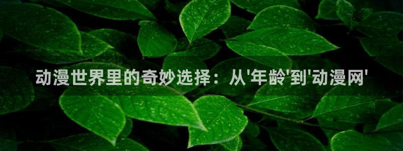 age动漫下载网