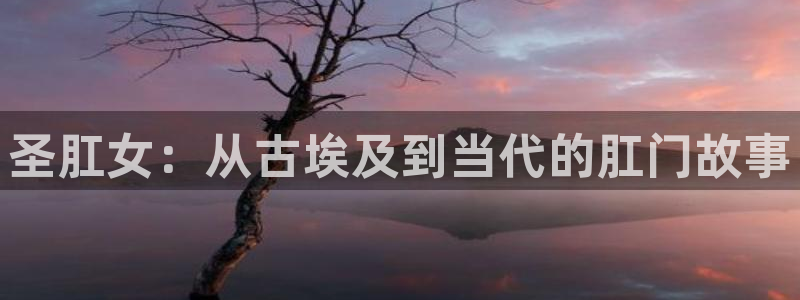 age动漫官网在线入口