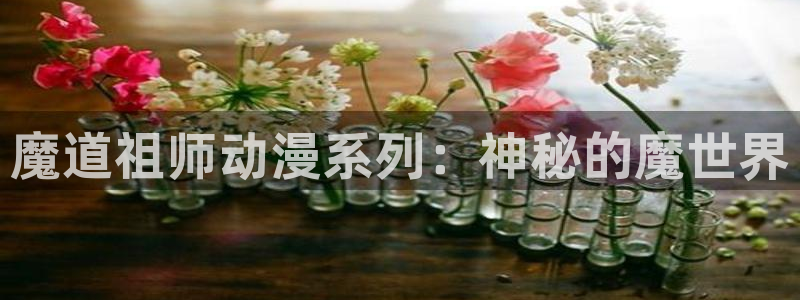 在线动画动漫下载age动漫：魔道祖师动漫系列：神秘的魔世界