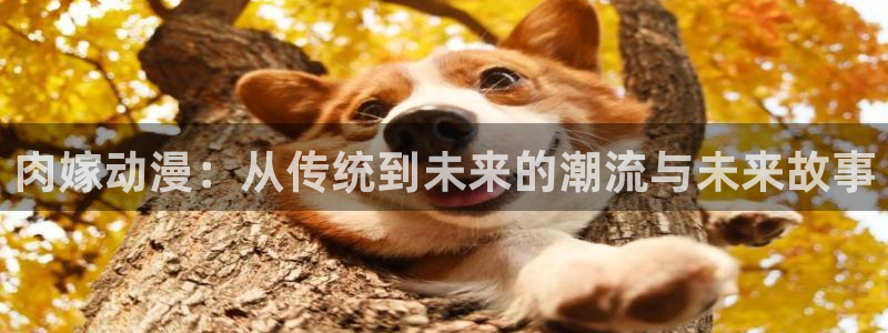 age动漫omofun