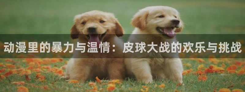 age动漫下载
