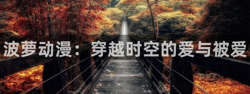 age动漫