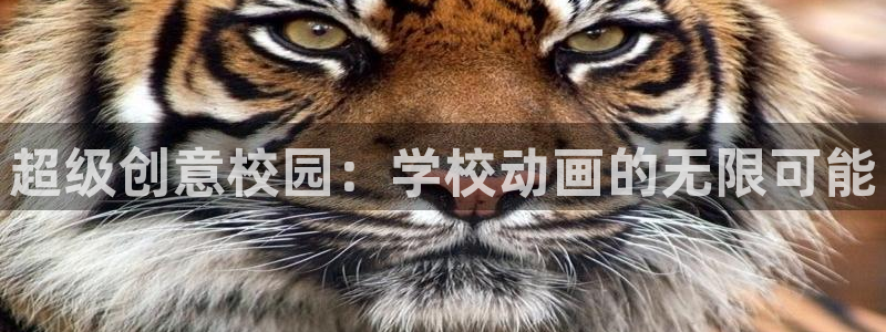age动漫专注动漫的门户网站