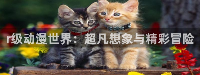 age动漫官网在线入口
