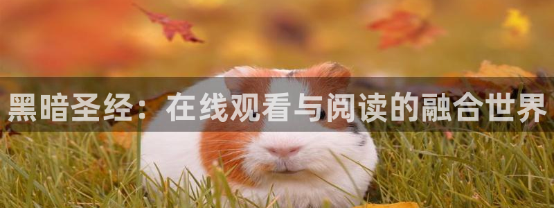 下载age动漫