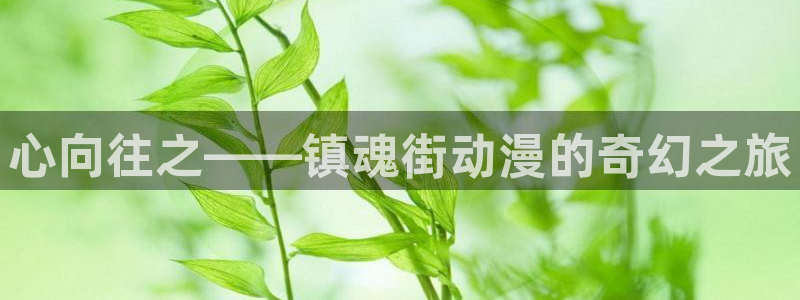 age动漫网官网入口