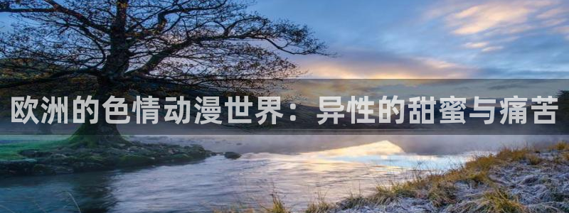 拷贝漫画 copymanager.ory网站