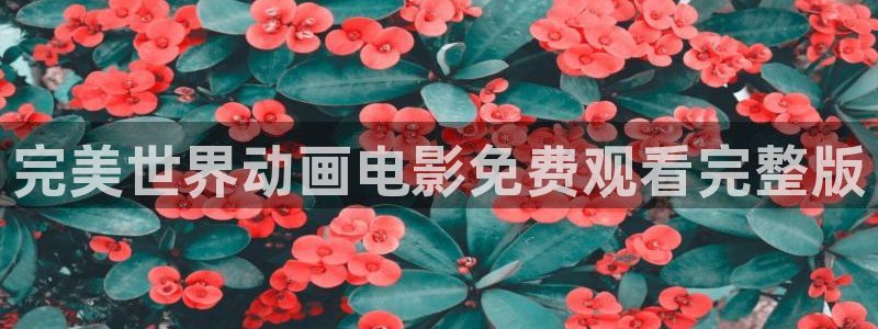age专注动漫的门户网站