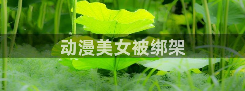 下载age动漫：动漫美女被绑架