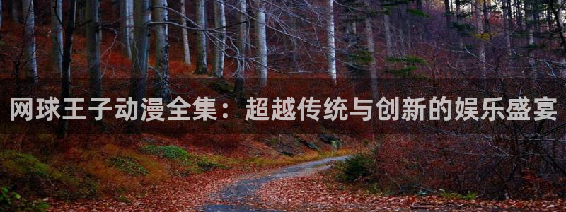 managereader漫画官网入口：网球王子动漫全集：超越传统与创新的娱乐盛宴