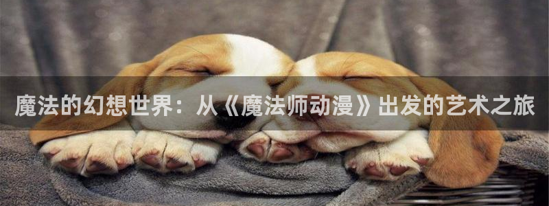 age动漫官网樱花动漫：魔法的幻想世界：从《魔法师动漫》出发的艺术之旅