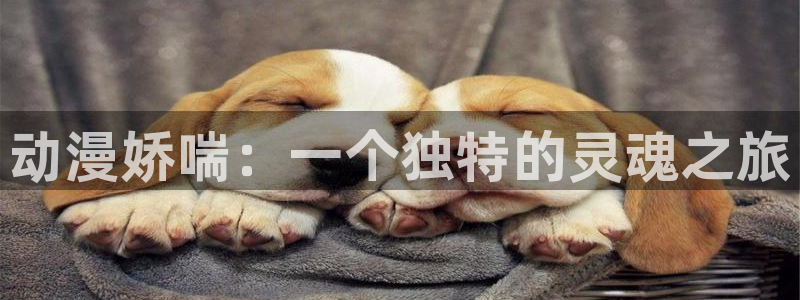 age动漫网下载：动漫娇喘：一个独特的灵魂之旅