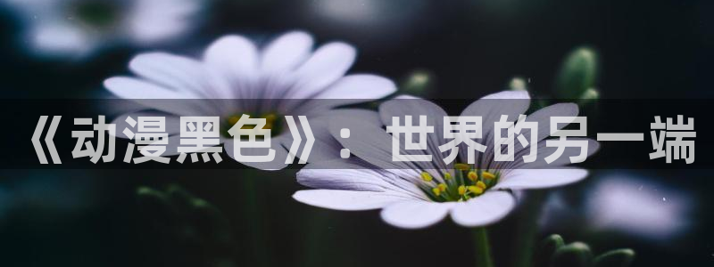 age漫画网：《动漫黑色》：世界的另一端