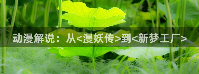 age动漫官网在线入口：动漫解说：从<漫妖传>到<新梦工厂>